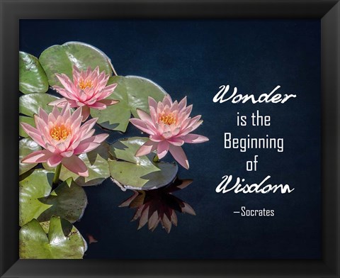 Framed Wonder is the Beginning of Wisdom Water Lily Color Print