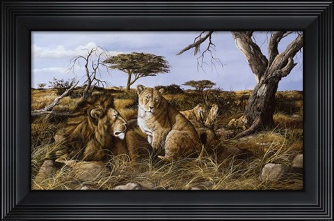 Framed Lazy in the Grass Print