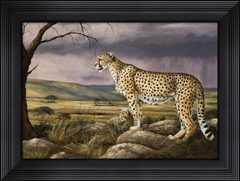 Framed Overlook Print