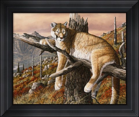 Framed Valley View Print