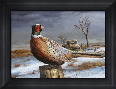 Framed Old Perch Print