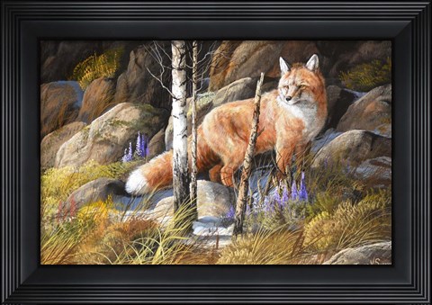 Framed Brief Glimpse Through Cover Print
