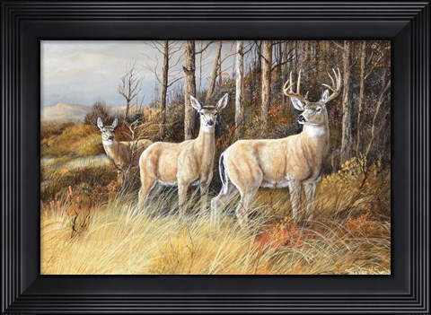 Framed Trio Print