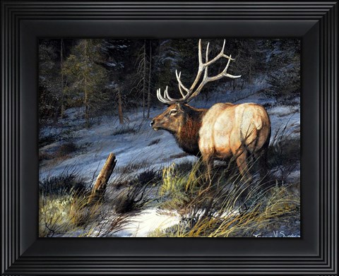 Framed Indomitable Print