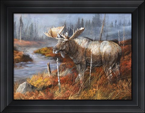 Framed King At Water&#39;s Edge Print