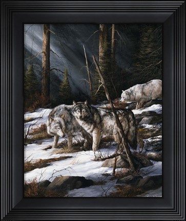 Framed Forest Shadows Print