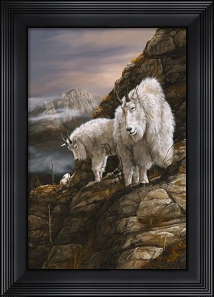 Framed Overlook Print