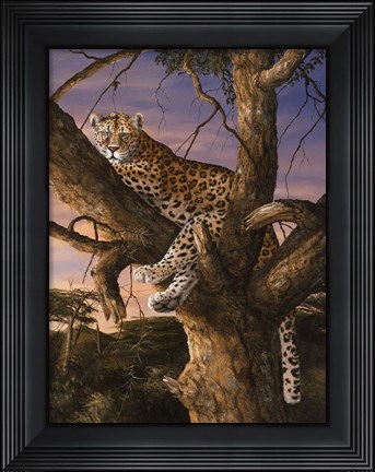 Framed Sunset Vantage Print