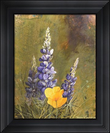 Framed Poppies And Lupine Print
