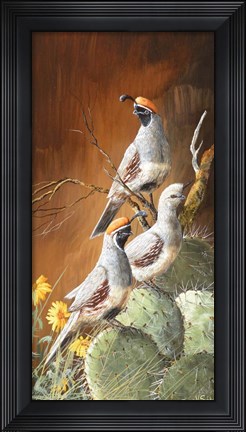 Framed Gambels Gathered Print