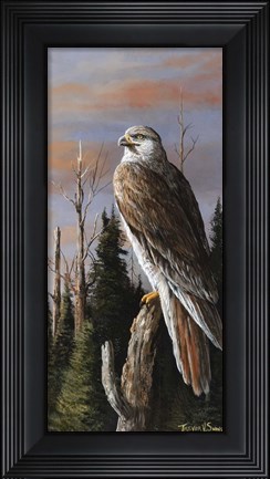 Framed Storm Watcher Print