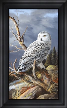 Framed Superior Vantage Print