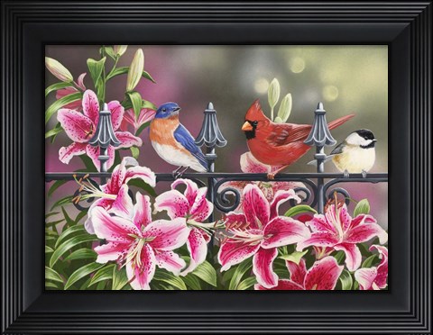 Framed Stargazers Print