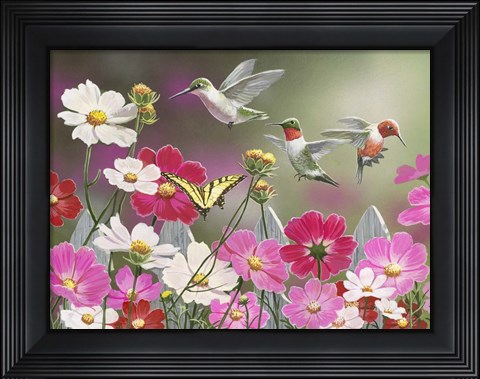 Framed Cosmos and Hummingbirds Print