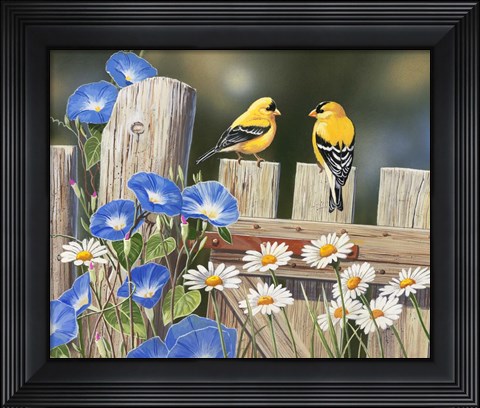 Framed Morning Glories and Finches Print