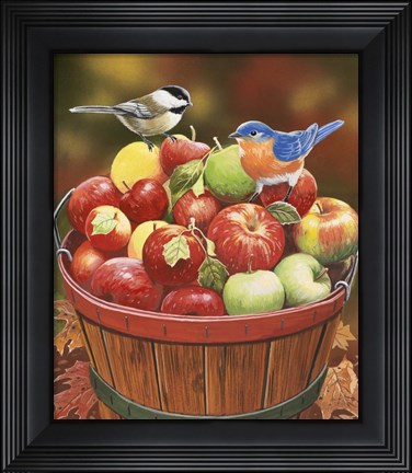 Framed Apple Harvest Print