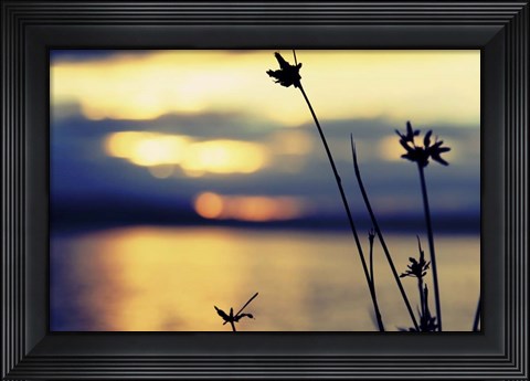 Framed Sunset Thoughts Print