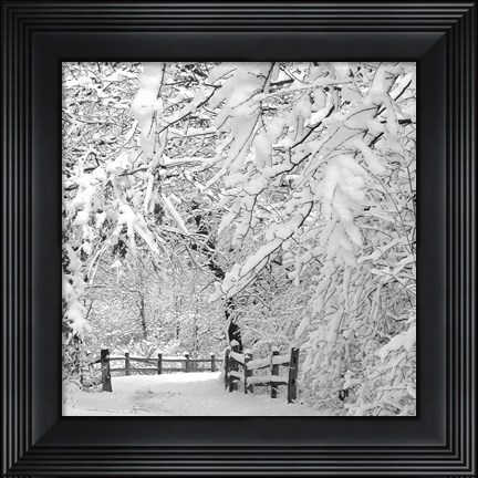 Framed Winter Wonderland Print