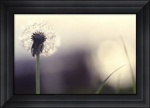 Framed Without You Print