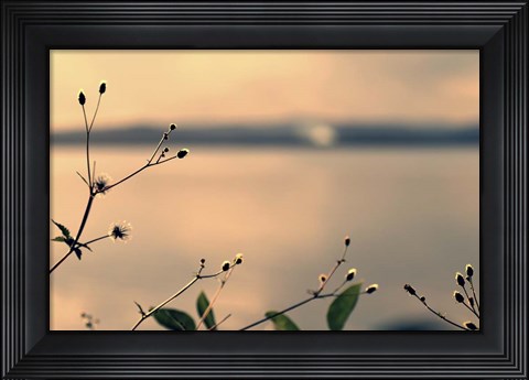 Framed Land Of Silence Print