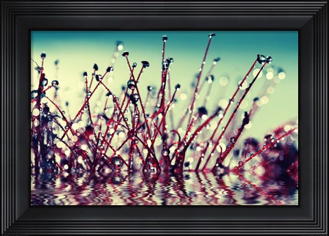 Framed Let Them Shine Print