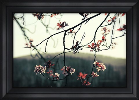 Framed Listen To The Trees Print