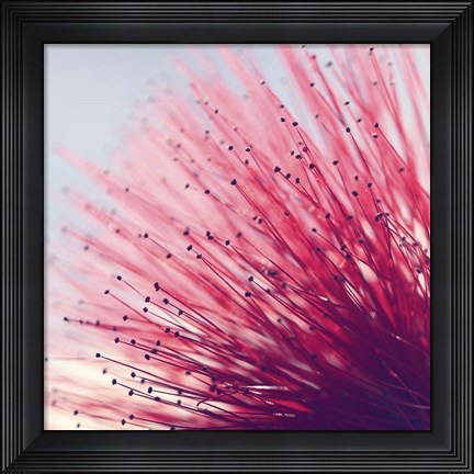 Framed Little Wonders Print