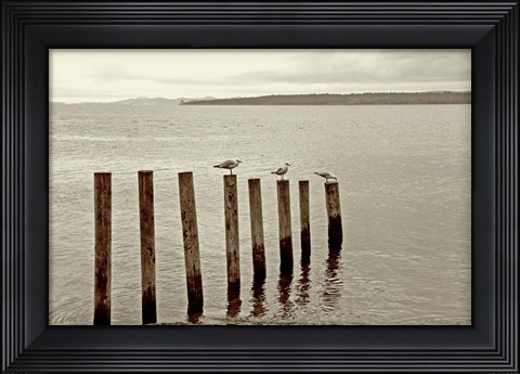 Framed Moments Passing By Print