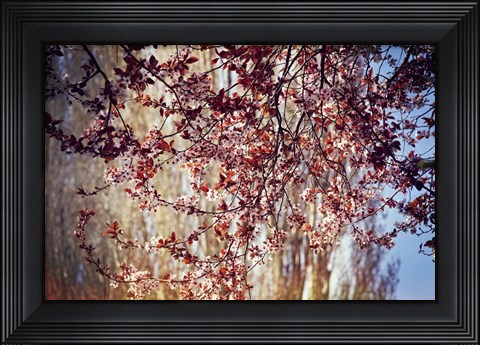 Framed New Possibilities Print