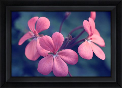 Framed Say It With Flowers Print