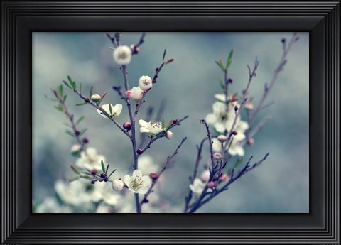 Framed Spring Impressions Print