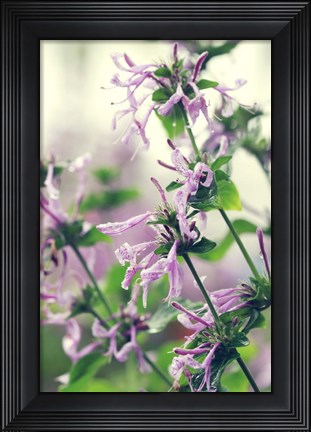 Framed Spring Melody Print