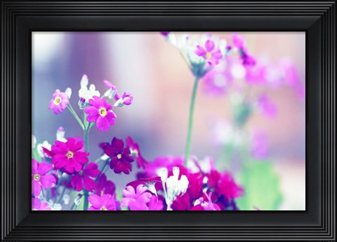 Framed Summer Notes Print