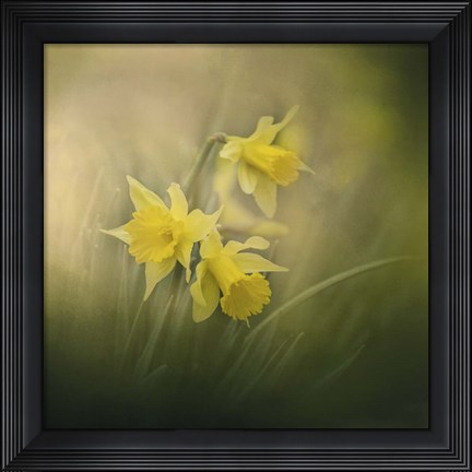 Framed Spring Morning Welcome Print