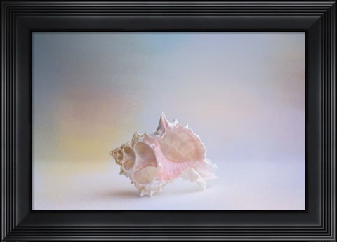 Framed Beach Memories 3 Print