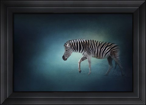 Framed Zebra In The Moonlight Print