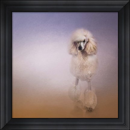 Framed On The Way To The Salon Standard Poodle Print