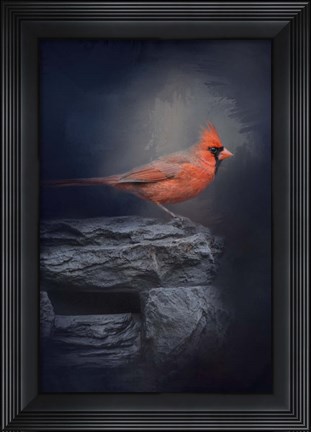 Framed Redbird On The Rocks Print