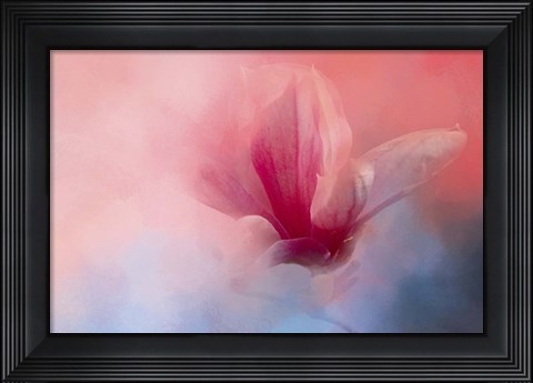 Framed Spring Tulip Magnolia Print