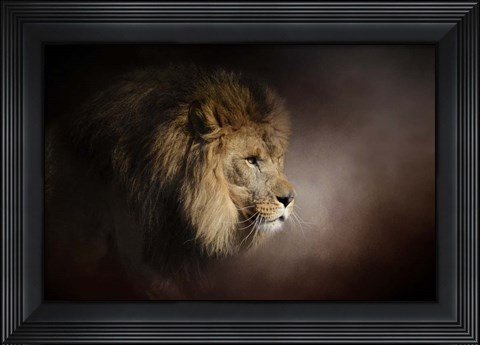Framed Mighty Lion Print