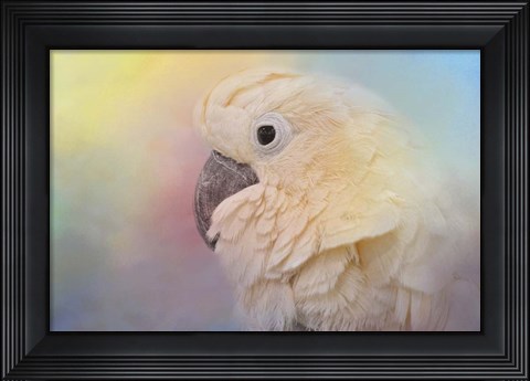 Framed Every Day Is Colorful Umbrella Cockatoo Print