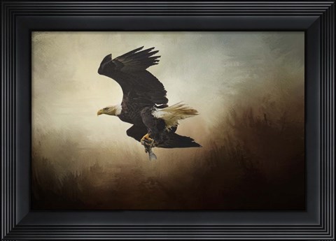 Framed Fish Tail Print