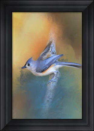 Framed In A Flash Tufted Titmouse Print