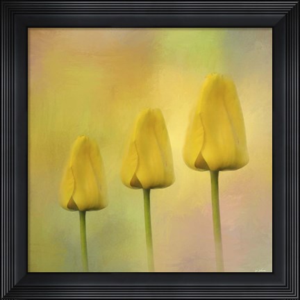 Framed Triplets Print