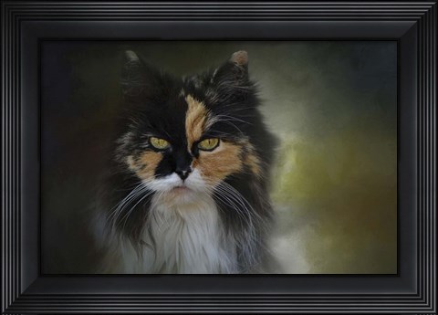 Framed Calico Stare Print