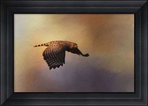 Framed Coming In For The Evening Print