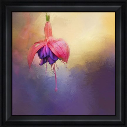 Framed Fuchsia Drop Print