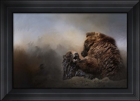 Framed Grizzlies In The Water Print