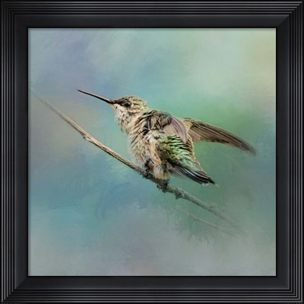 Framed Hummingbird On Mint Print