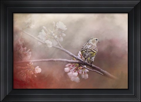 Framed Siskin In The Garden Print